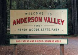 Hendy Woods State Park