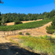 Garden Creek Ranch Vineyards
