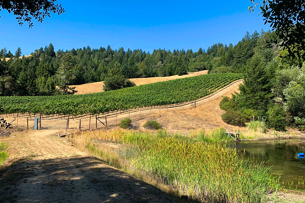 Garden Creek Ranch Vineyards