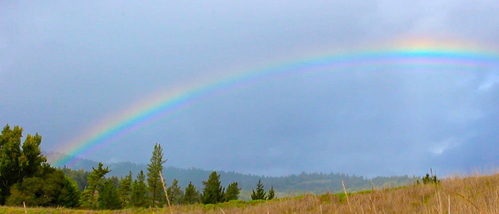 Anderson Valley Rainbow
