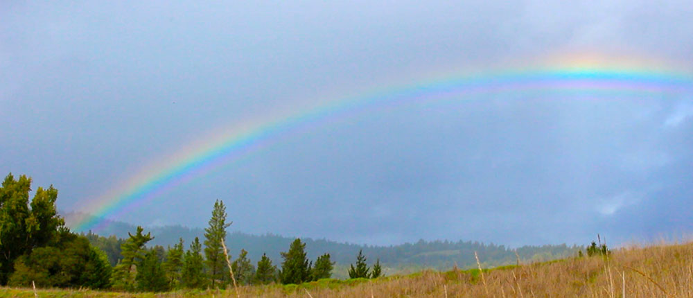 Photo courtesy of Kellen Lim, Twin Giants Media Anderson Valley Rainbow