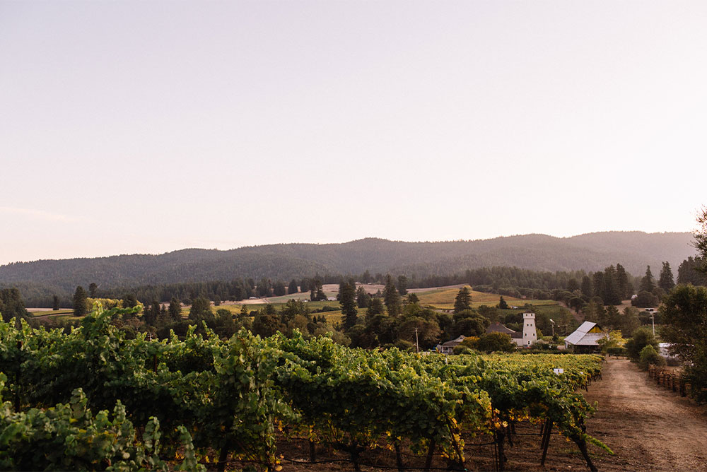 anderson valley landscape winery