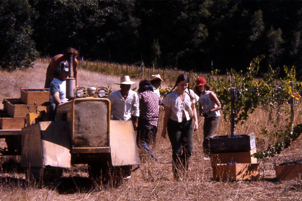Husch-1971-Harvest-Knoll-Vineyard 1st Pinot Noir Husch Harvest