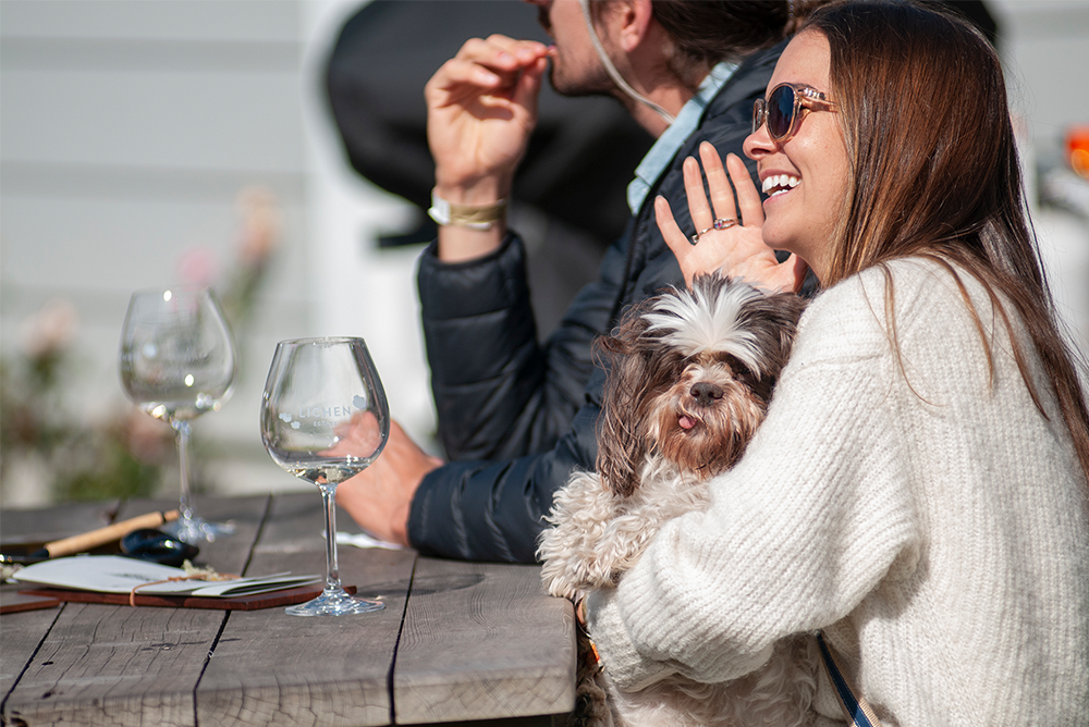 dog friendly wine fun