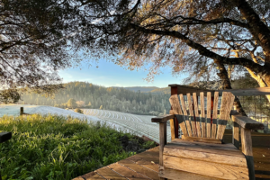 Anderson Valley Goldeneye Lodging