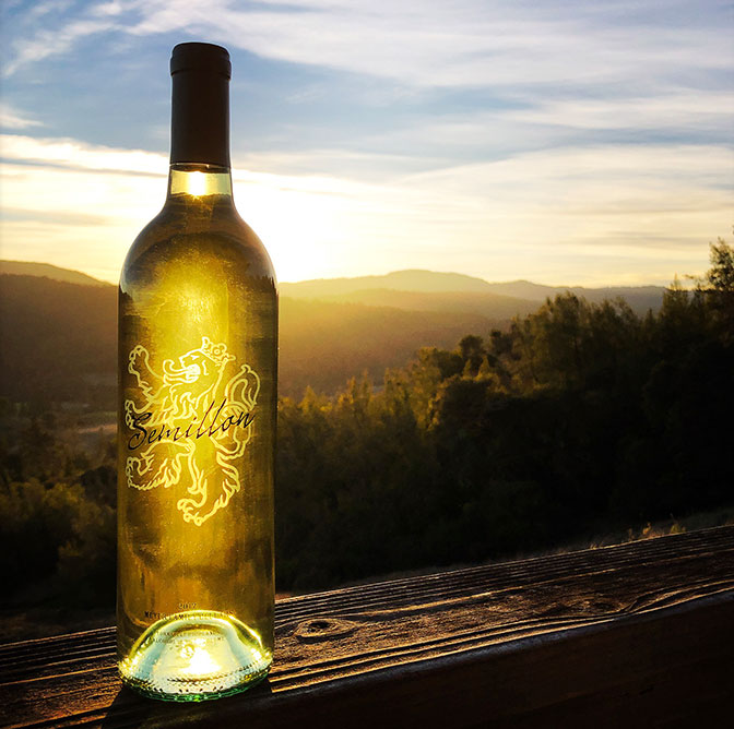 Semillion Wine