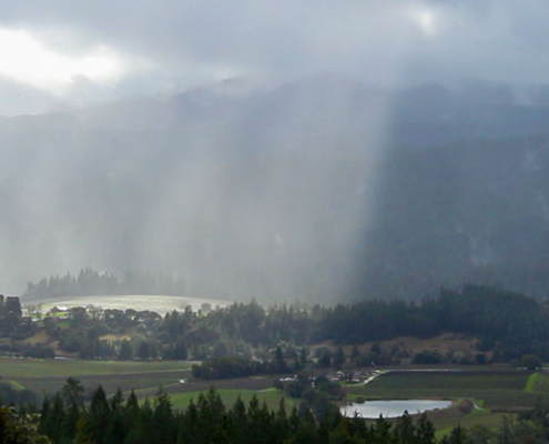 Winter In Anderson Valley