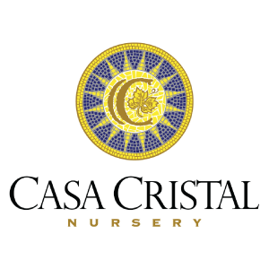 Casa Cristal Nursery Casa Cristal Vineyard Nursery