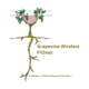 Grapevine Wireless Internet