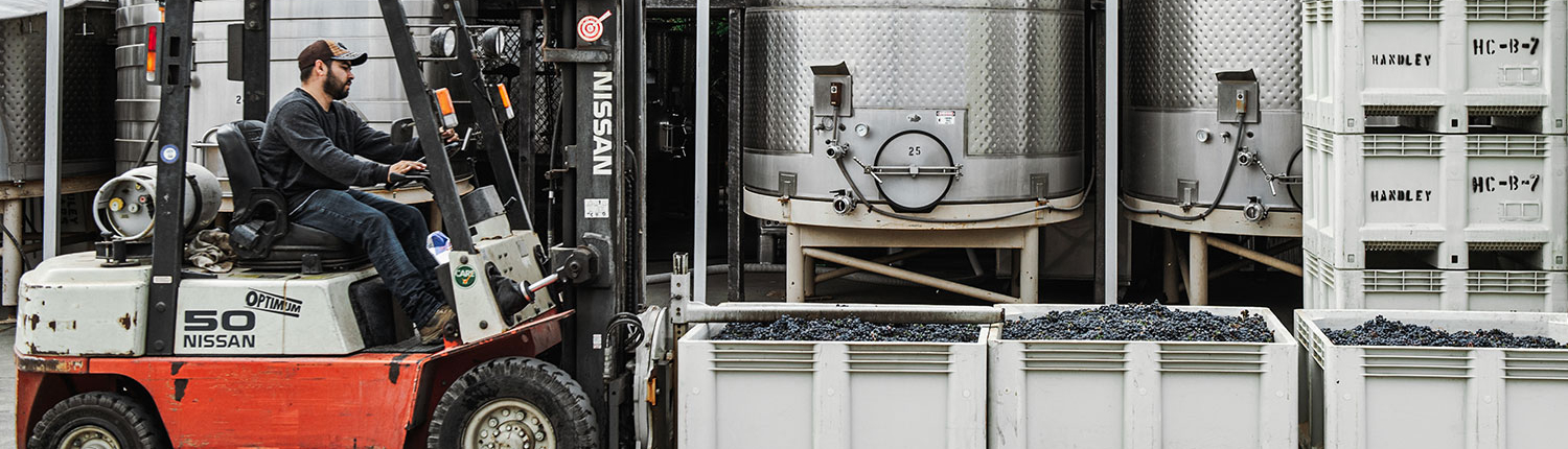 Anderson Valley Harvest Season