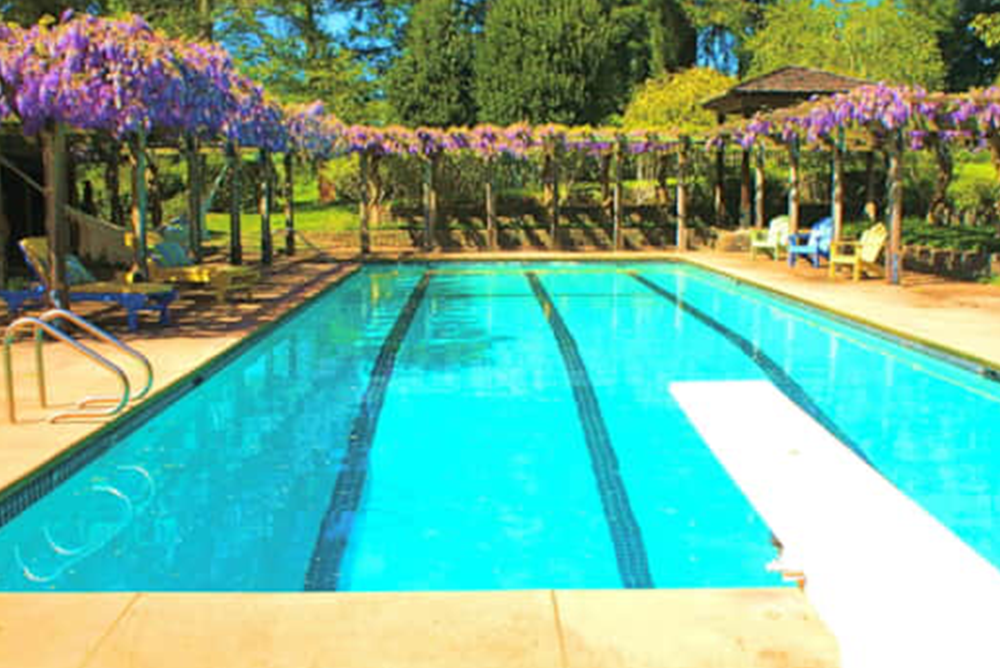Wild Iris Retreat