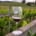 Pinot Noir Fest