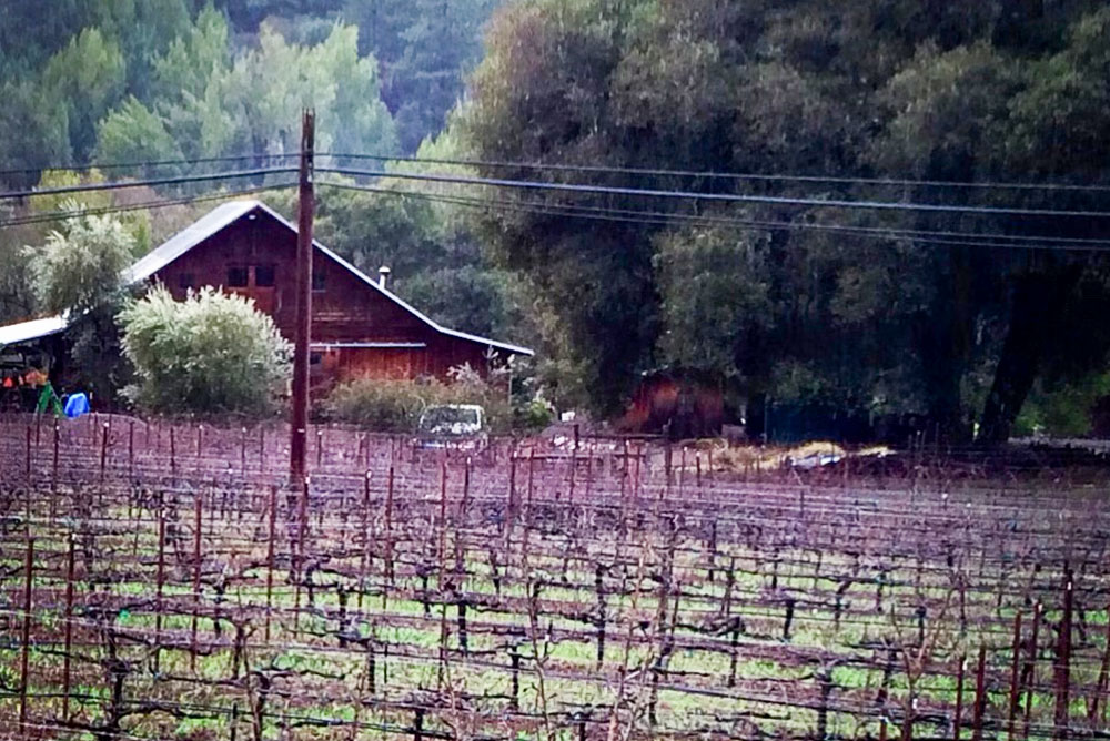 Wightman Vineyards