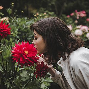 Northern California Botanical Gardens