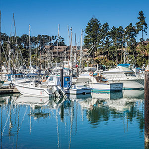Harbor