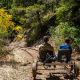 Skunk Train Track
