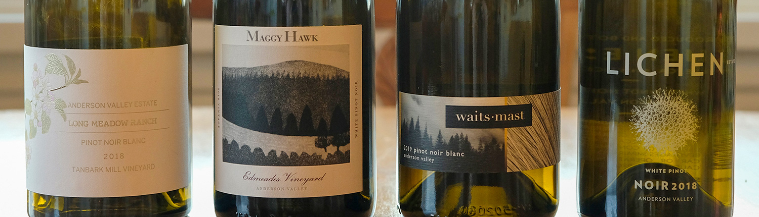 White Pinot Noir Varieties