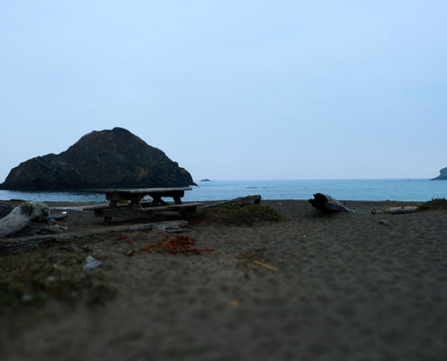 Coast Elk California