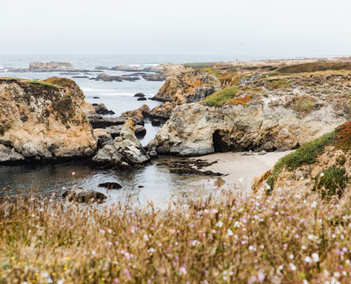 Mendocino CA Coast Trail