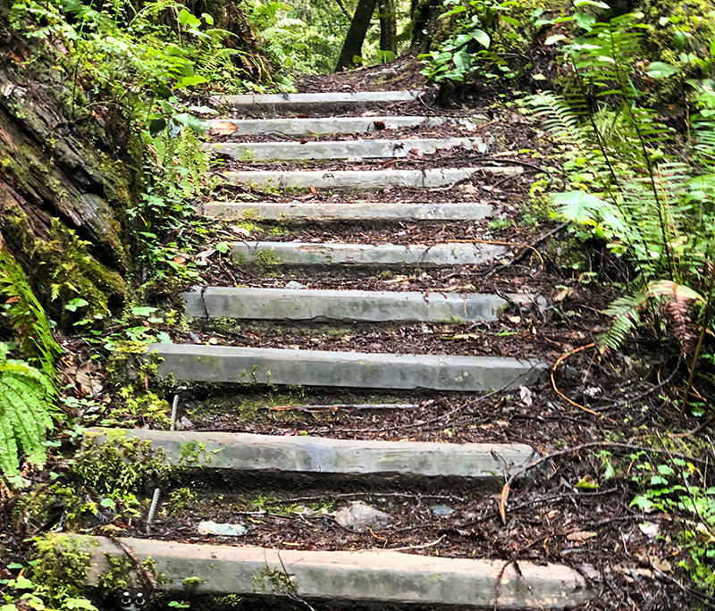 Mendocino Hike Path Mendocino CA Hike Path