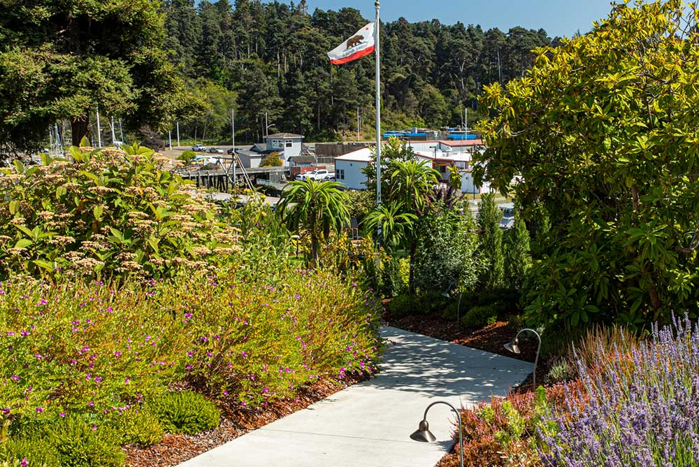 Noyo CA Harbor Path