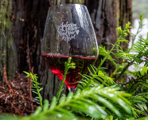 Pinot Noir Wine
