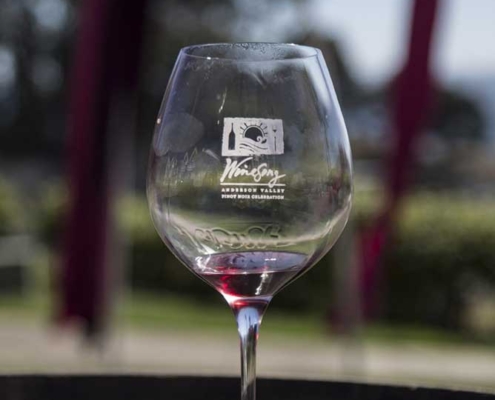 Celebrate Pinot Noir