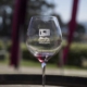 Celebrate Pinot Noir
