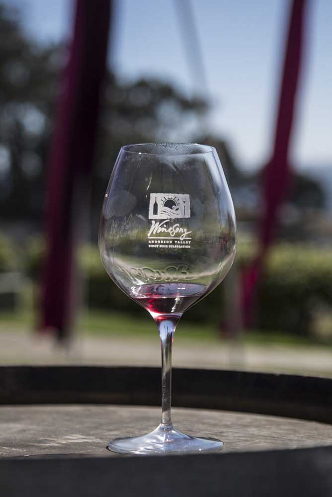 Celebrate Pinot Noir