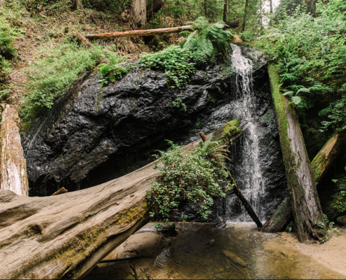 Russian Gulch State Park