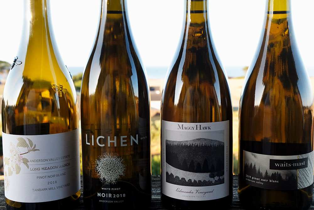 White Pinot Noir