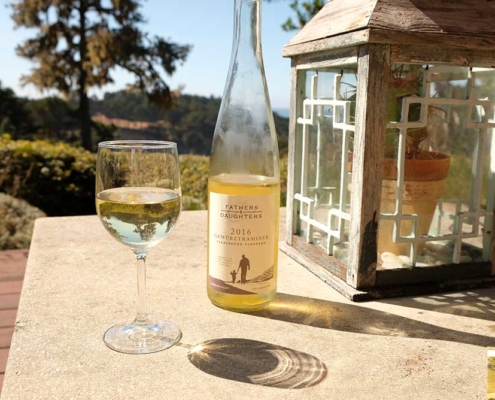 Mendocino Wine Tasting