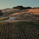 vineyard-lodging-boonville-california