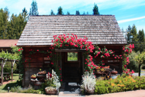 anderson-valley-flowers