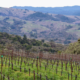 anderson-valley-landscape