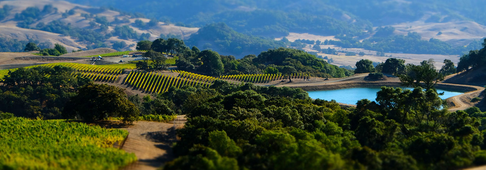 Anderson Valley Wines