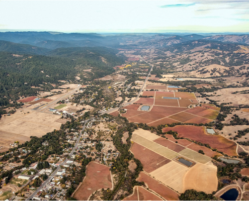 Fall Vineyards Patchwork