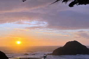 mendocino coast sunset elk